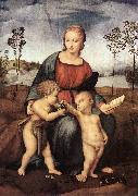RAFFAELLO Sanzio Madonna del Cardellino ert oil painting reproduction